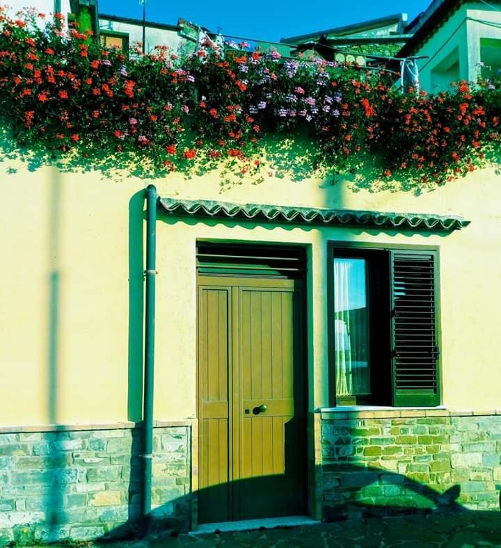 B&B Antonella Perito Exteriör bild