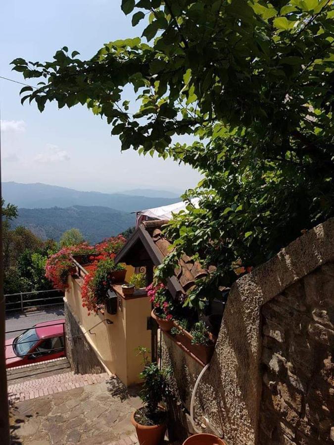 B&B Antonella Perito Exteriör bild