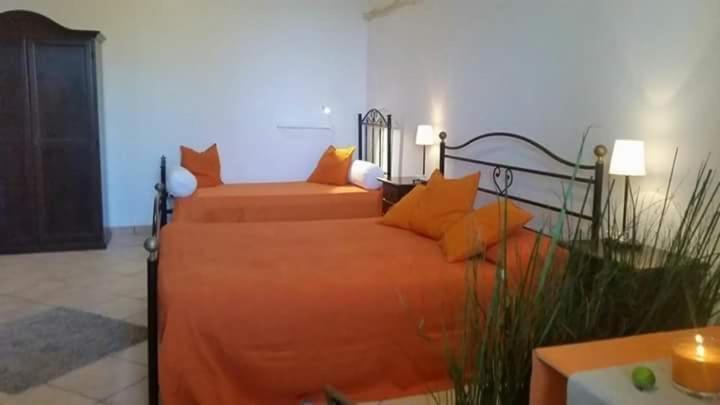 B&B Antonella Perito Exteriör bild